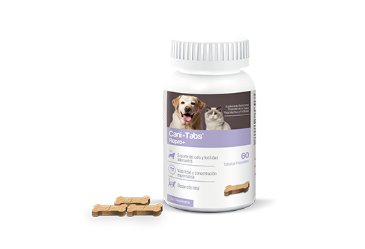 Cani-Tabs® Repro+ suplemento nutricional promotor de la salud reproductiva y fertilidad 