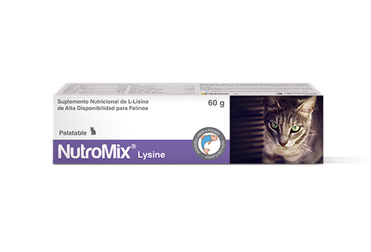 Nutromix® Lysine+  high availability l-lysine nutritional supplement for felines