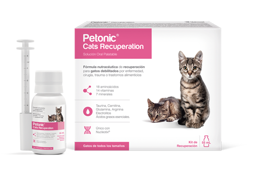 Petonic Cats Recuperation fórmula nutracéutica de recuperación para gatos debilitados 