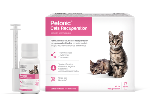 Petonic Cats Recuperation recovery formula for cats weakened 