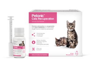 Petonic Cats Recuperation