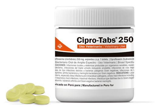 Cipro-Tabs 250® antibacteriano quinolónico 