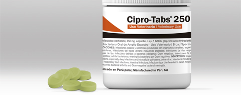 Cipro tabs 250 precio