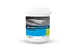 Microquel® Aqua Shrimp 4 in 1 Px