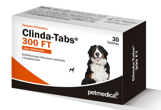 Clinda-Tabs® 300 FT lincosamida palatable y de alta biodisponibilidad 