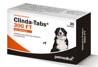 Clinda-Tabs® 300 FT