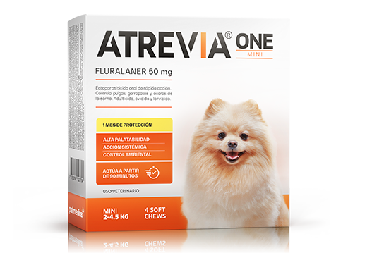 Atrevia® One Mini oral ectoparasiticide of immediate action of monthly application 