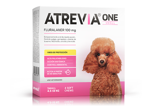 Atrevia® One Small oral ectoparasiticide of immediate action of monthly application 
