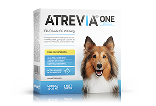 Atrevia® One Medium