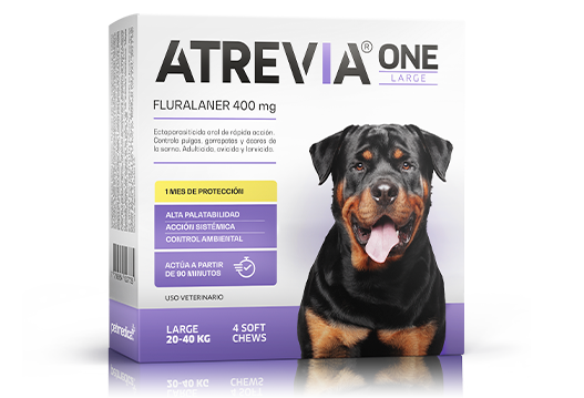 Atrevia® One Large oral ectoparasiticide of immediate action of monthly application 