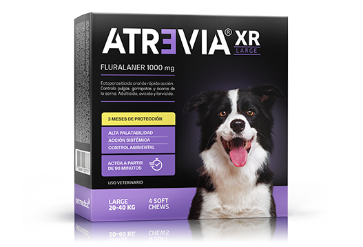 Atrevia® XR Large oral ectoparasiticide of immediate action and 3 months of duration 