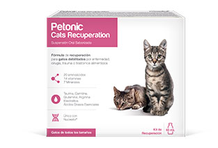Petonic® Cats Recuperation