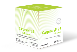 Carprodyl® 25 Soft Chews