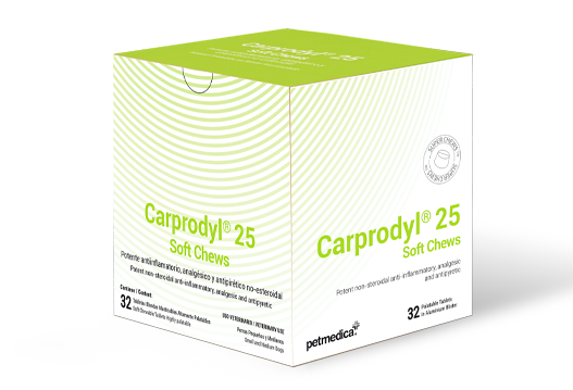 Carprodyl® 25 Soft Chews antiinflamatorio no esteroidal para perros pequeños y medianos 