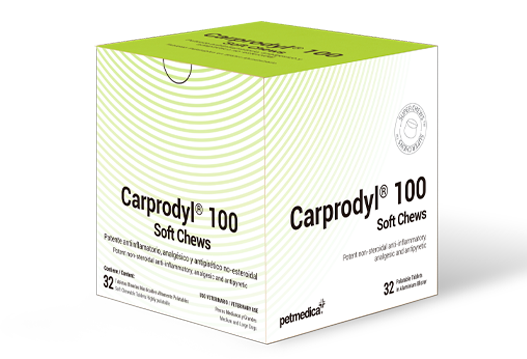 Carprodyl® 100 Soft Chews potente antiinflamatorio, analgésico y antipirético no-esteroidal para perros pequeños y medianos 