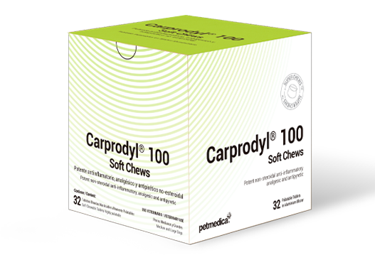 Carprodyl® 100 Soft Chews