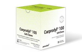 Carprodyl® 100 Soft Chews