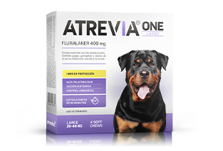 Atrevia® One Large