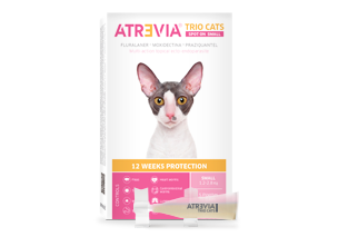 Atrevia® Trio Cats Spot On Small
