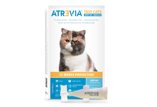 Atrevia® Trio Cats Spot On Medium