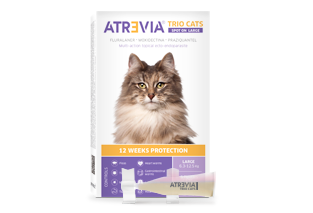 Atrevia® Trio Cats Spot On Large