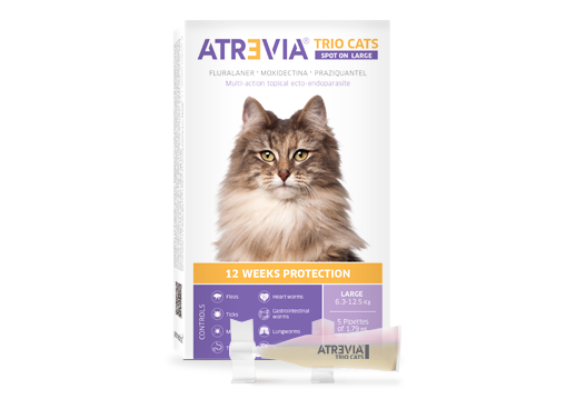 Atrevia® Trio Cats Spot On Large ecto-endoparasitario topical de múltiple acción con 12 semanas de protección 