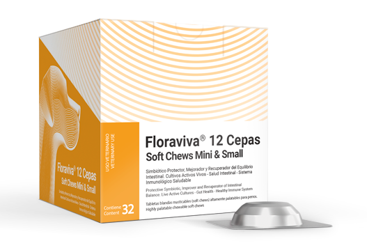 Floraviva® 12 Cepas Soft Chews Mini & Small simbiótico protector, mejorador y recuperador del equilibrio intestinal cultivos activos vivos - salud intestinal  