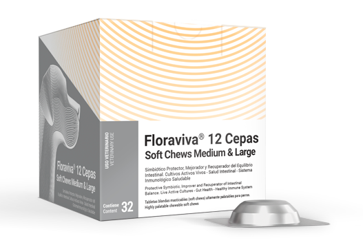 Floraviva® 12 Cepas Soft Chews Medium & Large simbiótico protector, mejorador y recuperador del equilibrio intestinal cultivos activos vivos - salud intestinal 
