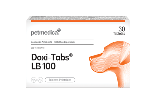 Doxi-Tabs® LB100 antibiotic - sporulated probiotic association 