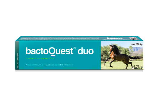 bactoQuest® duo asociación palatable sinérgica bactericida de doble protección sulfonamida potenciada 