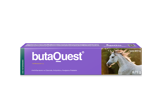 butaQuest® antiinflamatorio no esteroide, antipirético, analgésico palatable