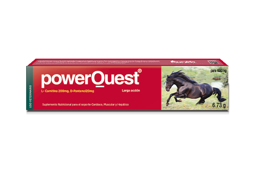 powerQuest® suplemento nutricional para el soporte muscular, cardíaco y hepático de caballos de alta performance. 