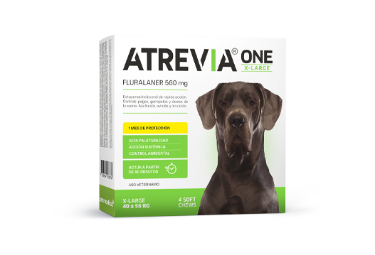 Atrevia® One X-Large