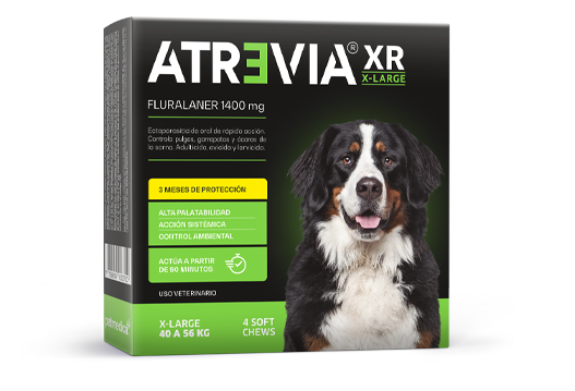 Atrevia® XR X-Large