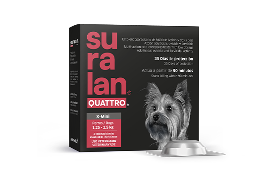 Suralan® Quattro® X-Mini
