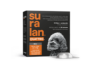 Suralan® Quattro® Mini