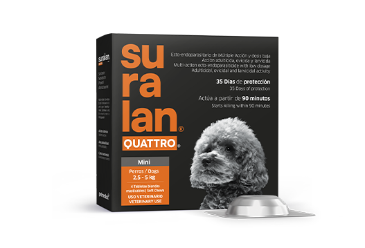 Suralan® Quattro® Mini
