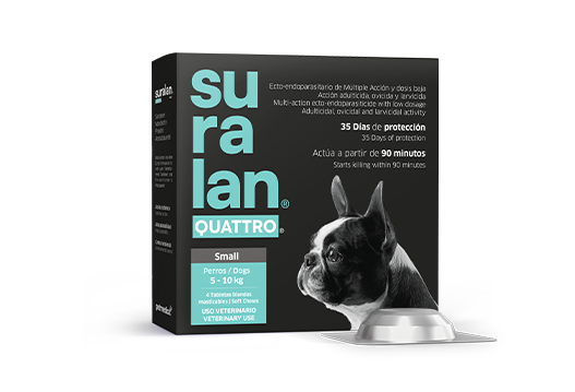 Suralan® Quattro® Small