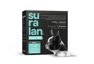 Suralan® Quattro® Small