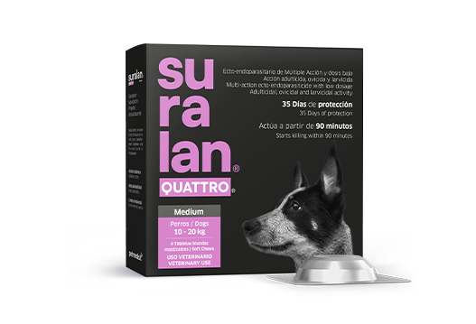 Suralan® Quattro® Medium