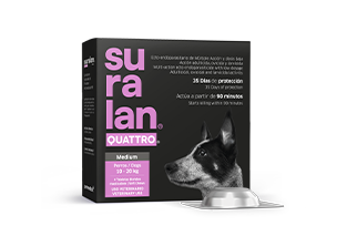 Suralan® Quattro® Medium