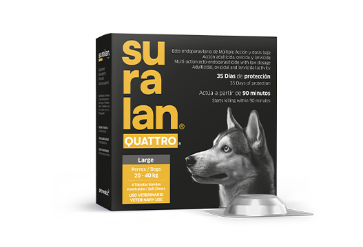 Suralan® Quattro® Large