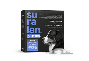 Suralan® Quattro® X-Large