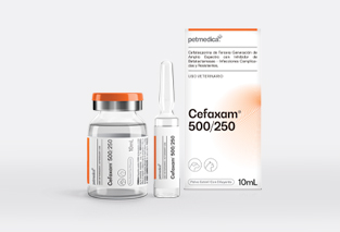 Cefaxam® 500/250