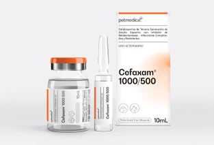 Cefaxam® 1000/500
