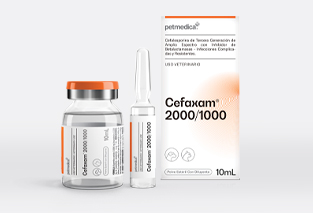 Cefaxam® 2000/1000