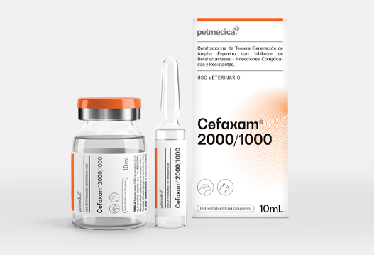 Cefaxam® 2000/1000