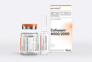 Cefaxam® 4000/2000