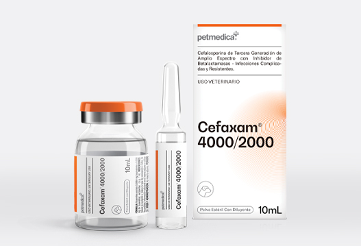 Cefaxam® 4000/2000