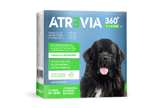 Atrevia 360® X-Large